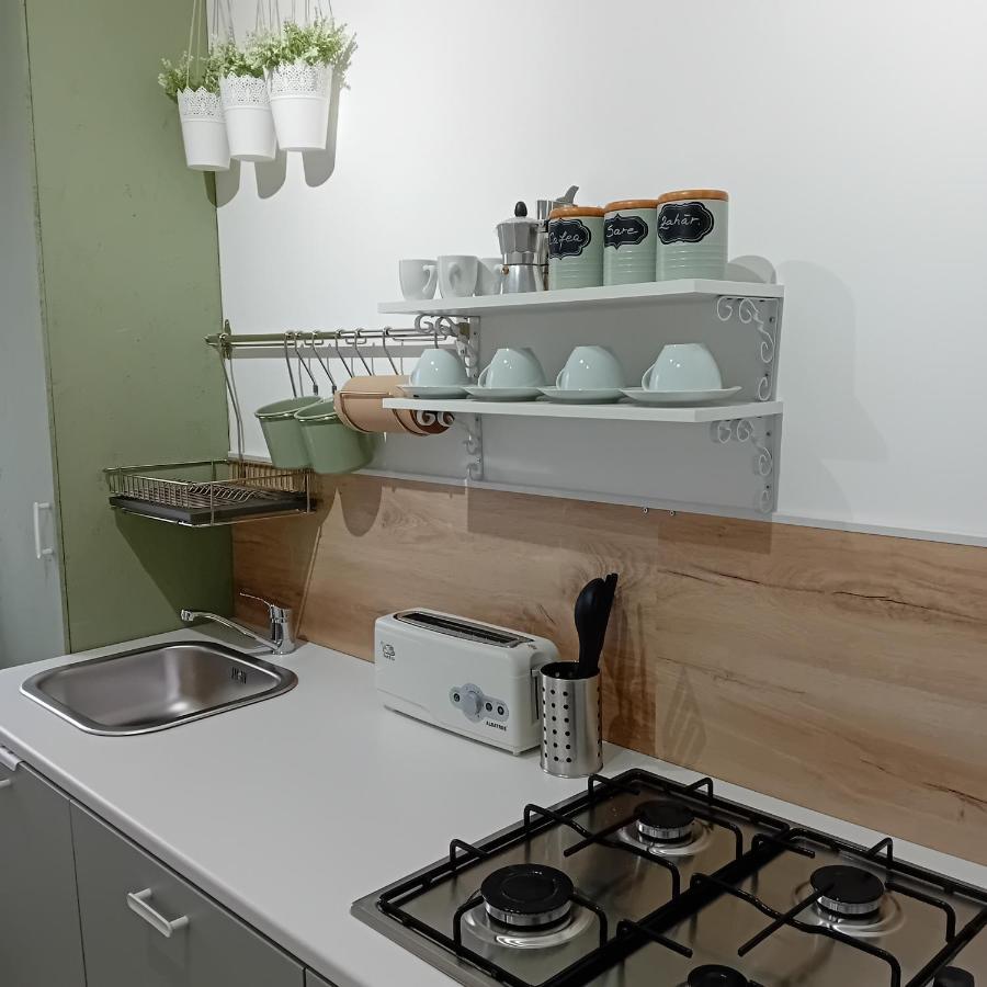 Appartement Harmonyhouse à Braşov Extérieur photo