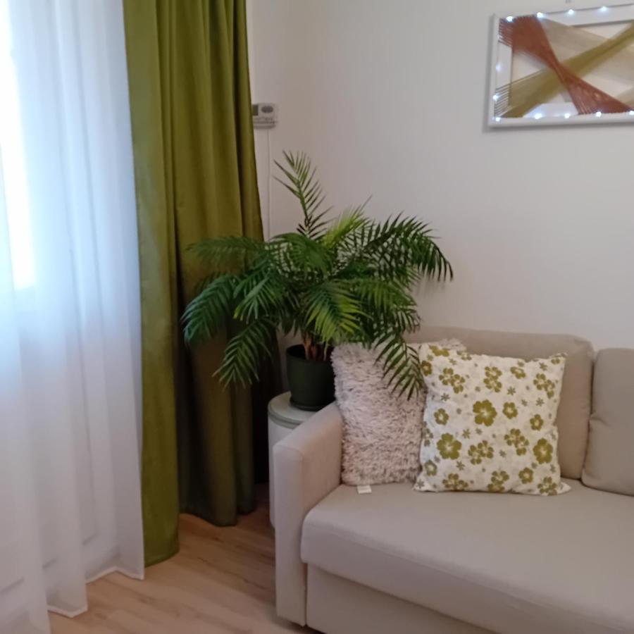 Appartement Harmonyhouse à Braşov Extérieur photo