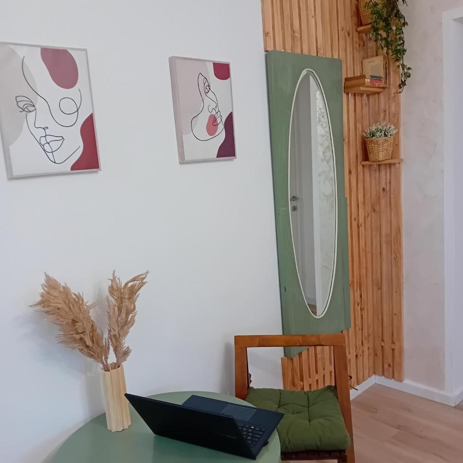 Appartement Harmonyhouse à Braşov Extérieur photo