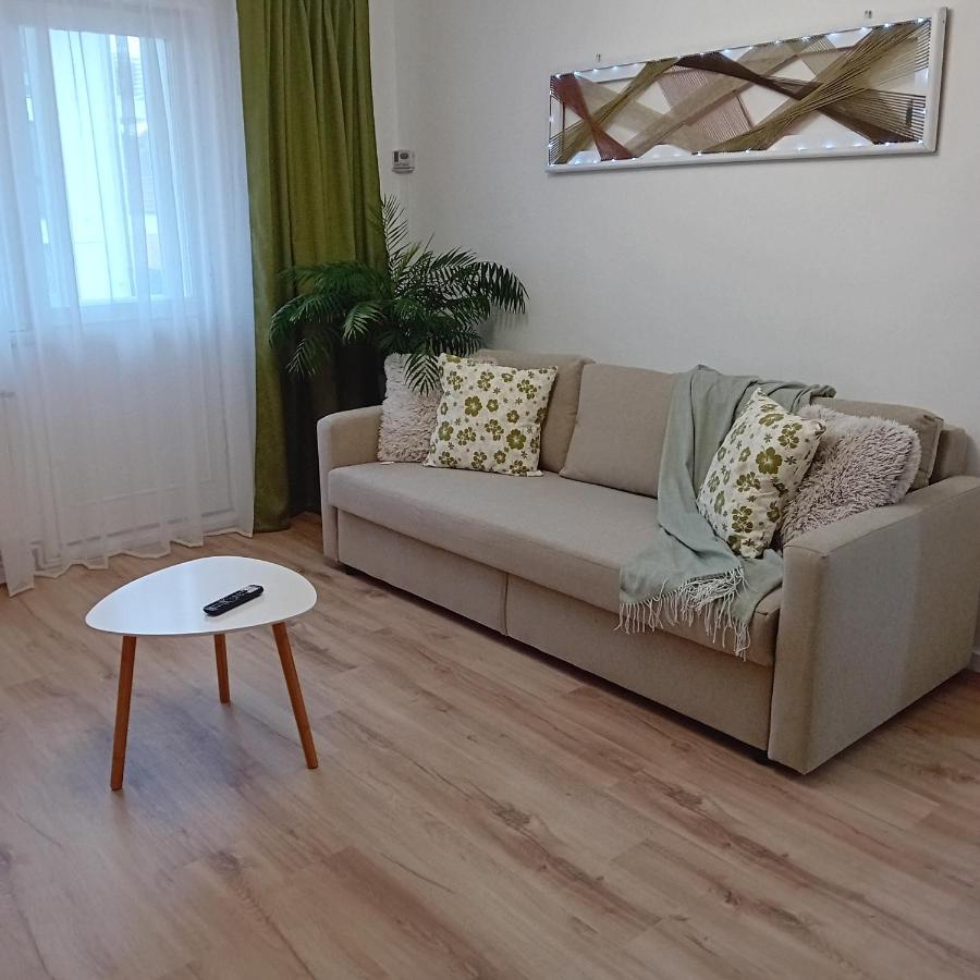 Appartement Harmonyhouse à Braşov Extérieur photo