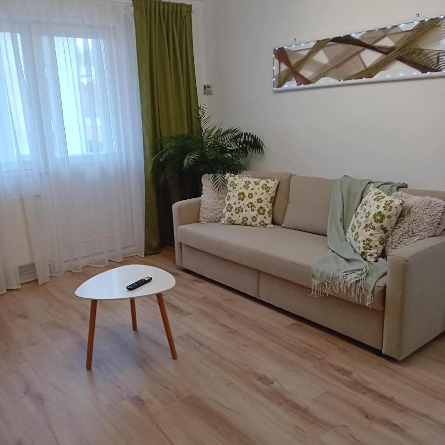 Appartement Harmonyhouse à Braşov Extérieur photo