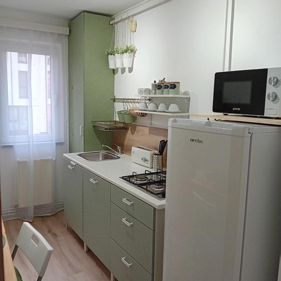 Appartement Harmonyhouse à Braşov Extérieur photo